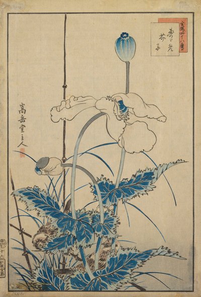 Bird Over Poppies by Nakayama Sugakudo